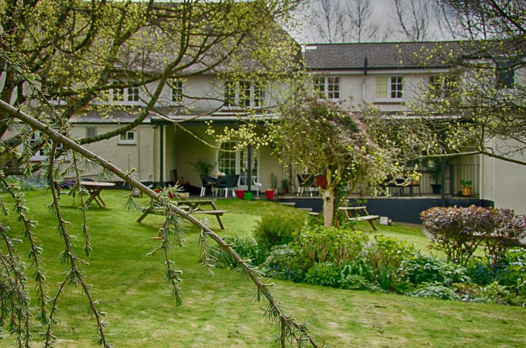 Tumbling Weir Hotel Ottery St Mary Екстериор снимка