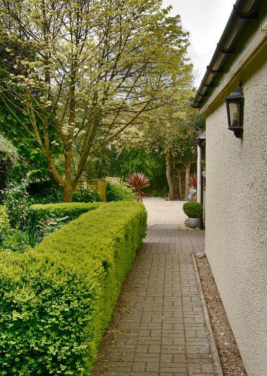 Tumbling Weir Hotel Ottery St Mary Екстериор снимка