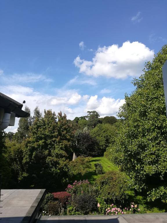 Tumbling Weir Hotel Ottery St Mary Екстериор снимка