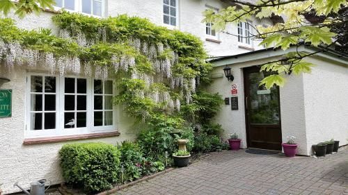Tumbling Weir Hotel Ottery St Mary Екстериор снимка